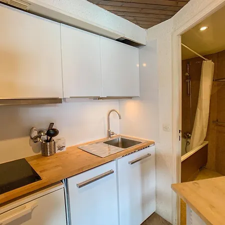 Apartamento Mezzanine Pres Des Pistes, Balcon, Animaux Admis
