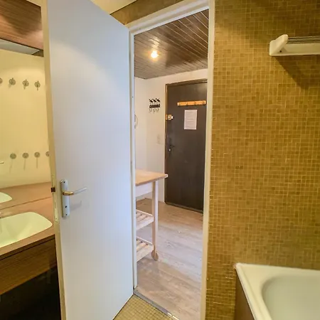 Mezzanine Pres Des Pistes, Balcon, Animaux Admis *