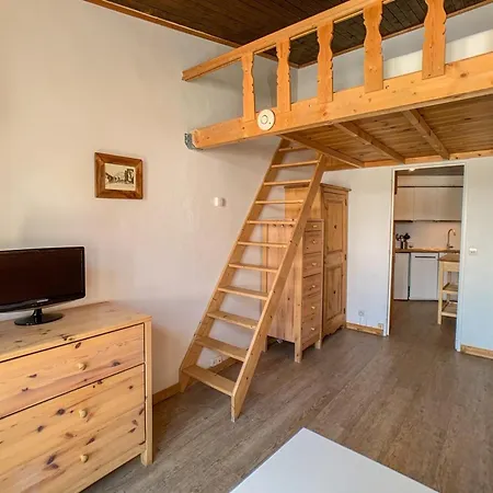 Mezzanine Pres Des Pistes, Balcon, Animaux Admis